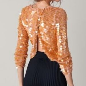 Rebecca Taylor Pailette Sequin Sweater